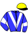 casaque portée par Guillot X. jockey du cheval de course HAYARA DE CRAVANS (FR), information pmu ZETURF