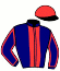 casaque portée par Le Moel Pi. jockey du cheval de course ISBA BESNOT (FR), information pmu ZETURF