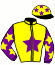 casaque portée par Denechere R. W. jockey du cheval de course GOLD FISH, information pmu ZETURF