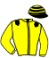 casaque portée par Delorme N. jockey du cheval de course GABARRET, information pmu ZETURF