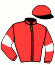 casaque portée par Vidotto E. jockey du cheval de course HIPPARION DES VES, information pmu ZETURF