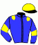 casaque portée par Haret Mlle A. jockey du cheval de course FANGIO GRIFF, information pmu ZETURF
