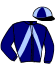 casaque portée par Criado M. jockey du cheval de course HERMES DE GIRONDE, information pmu ZETURF casaque portée par Criado M. jockey du cheval de course HERMES DE GIRONDE, information pmu ZETURF
