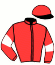 casaque portée par Badin M. jockey du cheval de course HIPPARION DES VES, information pmu ZETURF casaque portée par Badin M. jockey du cheval de course HIPPARION DES VES, information pmu ZETURF