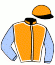 casaque portée par Sanchez Gar. jockey du cheval de course YQUELON (FR), information pmu ZETURF