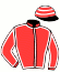 casaque portée par Werle A. jockey du cheval de course L'ARCHET (FR), information pmu ZETURF