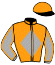casaque portée par Morin D. jockey du cheval de course CHICATCHI (FR), information pmu ZETURF