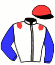 casaque portée par Moreau P. jockey du cheval de course PINNACLE (FR), information pmu ZETURF