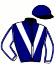 casaque portée par Blot P. jockey du cheval de course HOCKEY COLLONGES (AQ), information pmu ZETURF