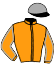casaque portée par Seguy V. jockey du cheval de course JO PICKETT (FR), information pmu ZETURF