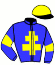 casaque portée par Le Floch T. jockey du cheval de course FLEURON DU LINAIS (FR), information pmu ZETURF