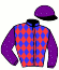 casaque portée par Chavatte D. G. jockey du cheval de course EUSTACHE (FR), information pmu ZETURF