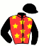 casaque portée par Gressier A. jockey du cheval de course ECHO DU GOUTIER (FR), information pmu ZETURF