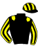 casaque portée par Pasqualini C. jockey du cheval de course FIRST DE BRETAGNE (FR), information pmu ZETURF
