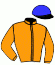 casaque portée par Larduinat-descout Mme S. jockey du cheval de course IOWA FALLS (FR), information pmu ZETURF