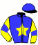 casaque portée par Blot Mlle M. jockey du cheval de course BARON DE L'ORMERIE (FR), information pmu ZETURF
