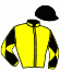 casaque portée par Le Pemp Mlle L. jockey du cheval de course GOLDING ROSE, information pmu ZETURF