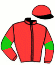 casaque portée par Seigneul A. jockey du cheval de course RICOCHET, information pmu ZETURF