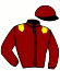casaque portée par Mendizabal I. jockey du cheval de course ILLOGIC, information pmu ZETURF