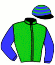 casaque portée par Mouesan H. jockey du cheval de course ELUSIVE PLANT, information pmu ZETURF