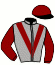 casaque portée par Chevillard T. jockey du cheval de course STOP THE COUNT, information pmu ZETURF
