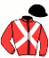 casaque portée par D' Andigne O. jockey du cheval de course PEDROCHEC, information pmu ZETURF