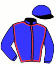 casaque portée par Reveley J. jockey du cheval de course DOMINO DU RAYNAL, information pmu ZETURF
