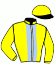 casaque portée par Merou Mlle A. jockey du cheval de course KAMINO, information pmu ZETURF