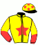 casaque portée par Brossard N. R. jockey du cheval de course JANETTE TY, information pmu ZETURF