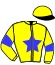 casaque portée par Brossard D. jockey du cheval de course JAVA DE BELFOND, information pmu ZETURF