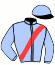 casaque portée par Brossard N. R. jockey du cheval de course JOYAU DE FAEL, information pmu ZETURF