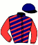 casaque portée par Brossard N. R. jockey du cheval de course FIFTY, information pmu ZETURF