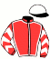 casaque portée par Audebert E. jockey du cheval de course HORSE LOVE METIS, information pmu ZETURF