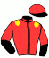 casaque portée par Criado M. jockey du cheval de course HONORE LE FOL, information pmu ZETURF