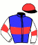 casaque portée par Charriaud S. jockey du cheval de course FORTUNA MARINE, information pmu ZETURF