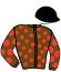 casaque portée par Criado M. jockey du cheval de course INCA DE MONE, information pmu ZETURF