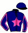 casaque portée par Collet Mlle M. jockey du cheval de course DOZULE GITAN, information pmu ZETURF