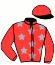 casaque portée par Mottier M. jockey du cheval de course HAKIM DE CHENU, information pmu ZETURF