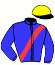 casaque portée par Raffin O. jockey du cheval de course JAKINO, information pmu ZETURF