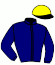 casaque portée par Duveau Max. jockey du cheval de course ICELANDER, information pmu ZETURF
