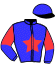 casaque portée par Geray P. jockey du cheval de course HELINA DE DUSSAC, information pmu ZETURF