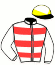casaque portée par Peslier O. jockey du cheval de course DODOMA, information pmu ZETURF casaque portée par Peslier O. jockey du cheval de course DODOMA, information pmu ZETURF