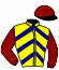 casaque portée par Foulon M. jockey du cheval de course FARZANEH, information pmu ZETURF casaque portée par Foulon M. jockey du cheval de course FARZANEH, information pmu ZETURF