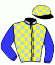 casaque portée par Veron F. jockey du cheval de course KATHALINA, information pmu ZETURF casaque portée par Veron F. jockey du cheval de course KATHALINA, information pmu ZETURF