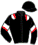 casaque portée par Grasset M. jockey du cheval de course BEHIND BARS, information pmu ZETURF casaque portée par Grasset M. jockey du cheval de course BEHIND BARS, information pmu ZETURF