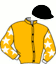 casaque portée par Barrier A. jockey du cheval de course TOTO BAROSSO, information pmu ZETURF casaque portée par Barrier A. jockey du cheval de course TOTO BAROSSO, information pmu ZETURF