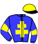 casaque portée par Lestrade B. jockey du cheval de course KAP SKY, information pmu ZETURF casaque portée par Lestrade B. jockey du cheval de course KAP SKY, information pmu ZETURF