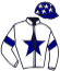 casaque portée par Werle A. jockey du cheval de course MONA MALPIC, information pmu ZETURF casaque portée par Werle A. jockey du cheval de course MONA MALPIC, information pmu ZETURF