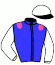 casaque portée par Veron F. jockey du cheval de course AUTUMN PRIDE, information pmu ZETURF