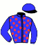 casaque portée par Jaguelin T. jockey du cheval de course LIZZANO, information pmu ZETURF